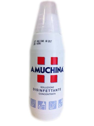 Amuchina 1 L