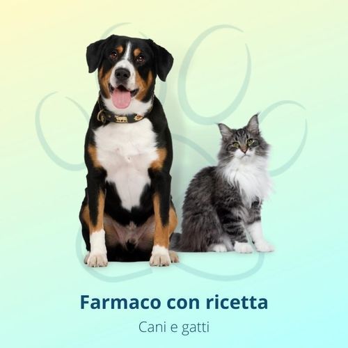 Interceptor flavor 2,3 mg 6 cpr per cani ;4,5 kg (NON vendibile online. per info contattateci)