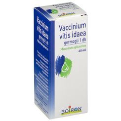 Vaccinium vitis idaea